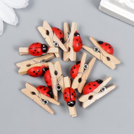 Decor for creativity Tree "clothespin with God's cow" (set 10 pcs) 2.6x1 cm-2