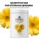 Purshat-Z Calveline Nourishing additive for flowers, 700g