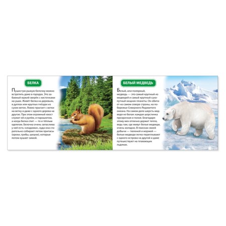Educational books set 6 pcs. "We learn about everything around", 108 animals and birds-1