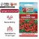 Seeds Tomat "Balcony Miracle", ultra -rapid, determinant, stunted, 0.1 g