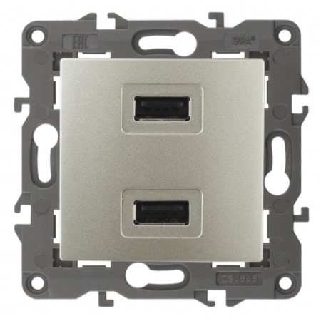 USB charger device, 230V/5V-2100MA, IP20, ELEGANCE ERA, Champagne