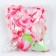 Hawaii set clip with fuchsia flower, wreath