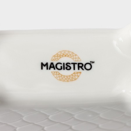 Magistroi sponge argos sponge, white color-4