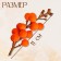 Decor "Orange Berries" 4 × 4 × 11 cm