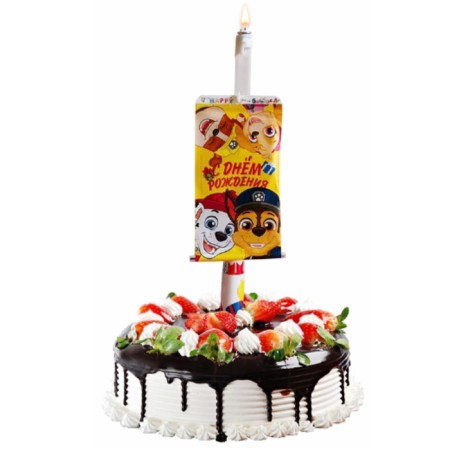 Candle-Surprise in a cake, with a postcard, puppy patrol