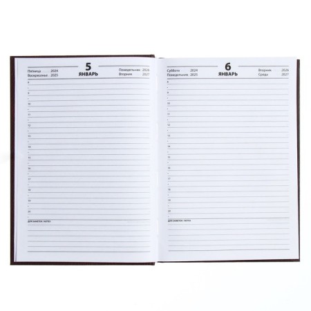 The diary half-dantered for 4 years A5, 192 leaf "Leather", solid cover, silk, coffee-brown-8