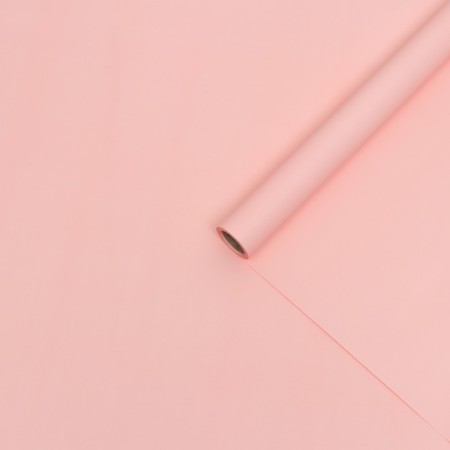 Matte film, 65 microns, powder, 56cm*10m ( + -) 1 cm-1