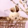 Decorative Easter basket "Bunny", 7 × 14 × 13 cm