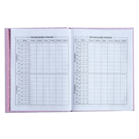 Universal Diary Grade 1-11, 48 sheets "kitten and mouse", solid cover, pancake embossing, UV-lame, matte lamination-6