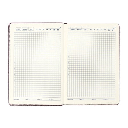 The diary is undathed, PVC cover, A5, 140 liter format, cell, metallic gold-11