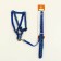 The stolen set "Militari", leash 120 x 1 cm, OG 23-35 cm, blue