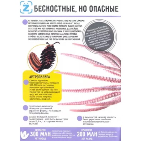 Dinosaurs. World Ocean. Insects and spider -shaped. Animals-7