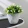 Pot for flowers with the pallet laurel, 1.3 l, d = 14.5 cm, h = 12.5 cm, white color