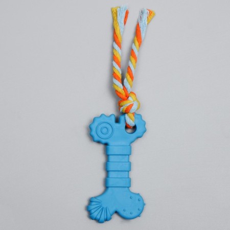 Chewing toy with a rope "bone with a tail", blue-1