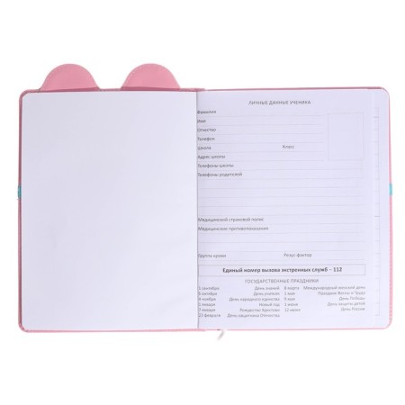 Universal diary 1-11 grade mouse, firm cover with foam rubber, with a refrain, lies, block 80 g/m2-3