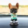 Dog on a car panel shocking his head, French bulldog
