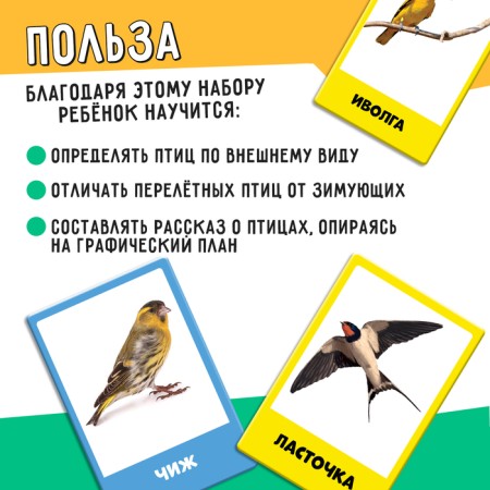 Developing set "Migratory and wintering birds"-1