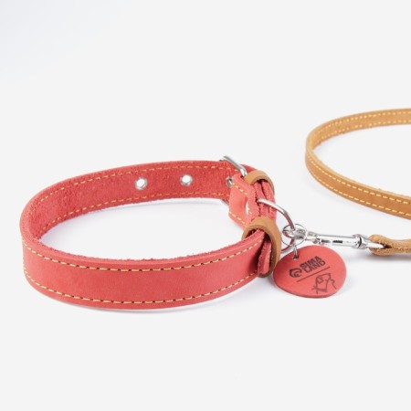 Set: collar (36-56x2.5 cm) and leash (130x1.5 cm), raspberry and beige color-7