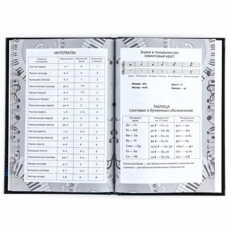 Diary for the music school is a solid cover of 40 liters. "September 1: headphones"-3