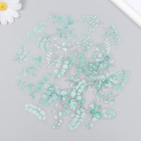 Stickers for creativity plastic "Eucalypt" set 40 pcs 0.2x10x15 cm