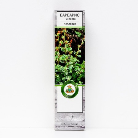 Barberis Tunberg "Kelleris" 1 pc, tube, spring 2025