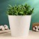 Kashpo "Bucket with heart" white with gilding, 18x18x15cm
