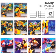 A set of notebooks is 20 pieces, 12 sheets, September 1, in a cage and ruler, covering a coated cardboard, transformers