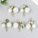 Flowers for decorating "echinops with berries" white 8 cm