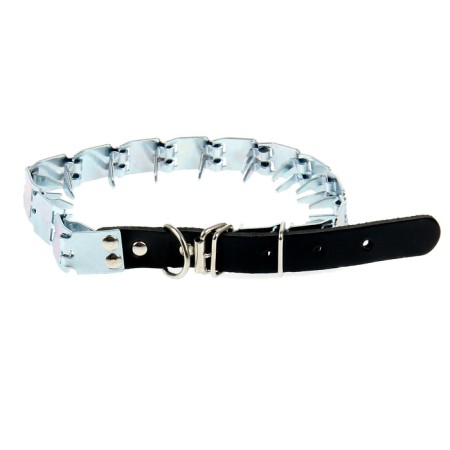 The collar is strict plate, adjustable, Osh 42-50 cm, mix of flowers-1