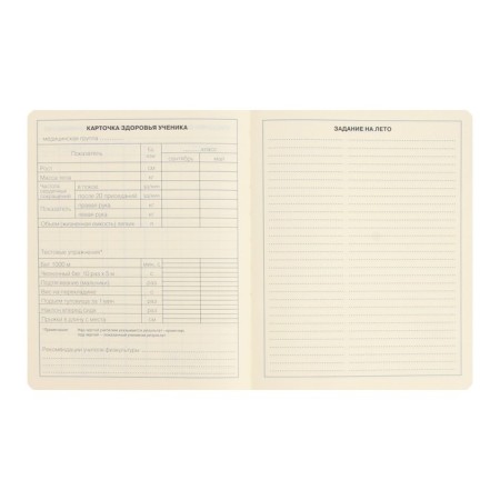 School diary for grades 1-11 Schoolmix. Koala, hard cover, artificial leather, with foam, liesse, 48 sheets, tinted block 70g/m2-9