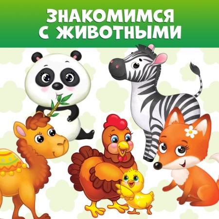 Books Cardboard Set "Animals", 4 pcs., 10 p.-3