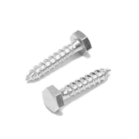 Bolt "Capercaillie", plumbing, Din571, M6x30 mm, 800 pcs-2