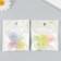 Button plastic for creativity "Chamomile" mix 2.5x2.5x1.6 cm
