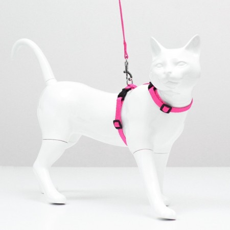 Kit for cats, width 1 cm, Osh 16.5-27 cm, fire 21-35 cm, leash 120 cm, pink-3