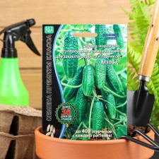 Seeds of the Mals F1 F1 Ultraran 36 days, cornishon, parthenocarpic, 5 pcs