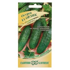 Seeds of cucumber 