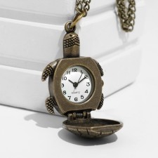 Pocket watch 