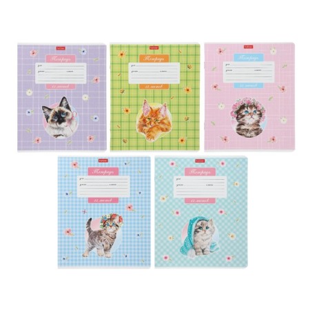Notebook 12 sheets in a cage on a clip "cats are different", mix