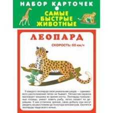 The fastest animals