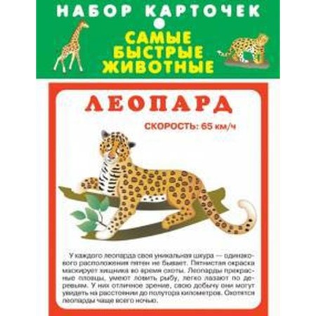 The fastest animals