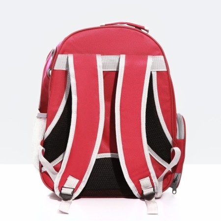 The backpack for carrying animals is transparent, 31 x 28 x 42 cm, red-2