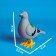 Clothing toy "pigeon"