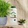 Organic fertilizer "Green Life" for indoor plants, 0.5 liters