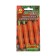 Carrots "Nanta 5" Super -hub, 2 g