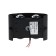 Front Farrier "Semesfer", FSD-072, 4 W, 4000K, 2 rays, IP65, 220 V, plastic, black 100842