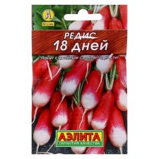 Seeds Radis 
