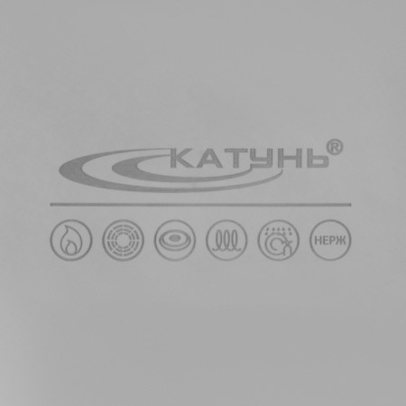 Poster "General catering", 8 l, d = 30 cm, h = 12 cm, metal cover, with a heat distribution layer, induction-4