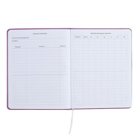 Universal diary for grade 1-11 Mentality, hard cover, artificial leather, liesse, 80 g/m2-5