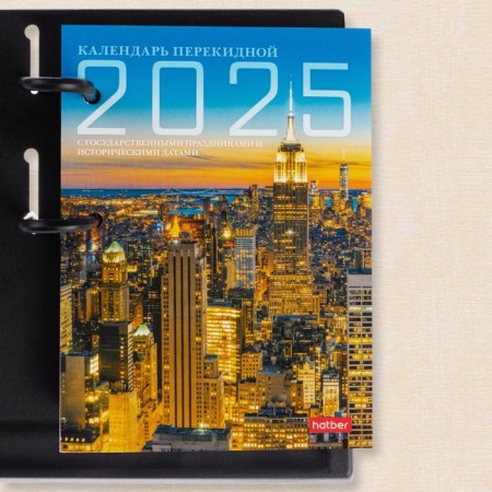 Block for the desktop calendar A6 "Principlines - 1" 2025, 160 sheets-1