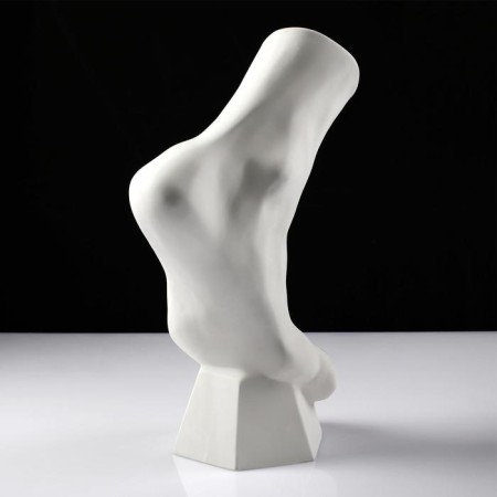Anatomical gypsum figure: vertical foot, 14 x 23.5 x 38 cm-5